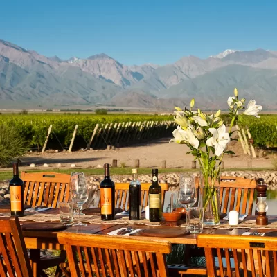 Outdoor wine tasting and lunch – North Uco Valley Tour