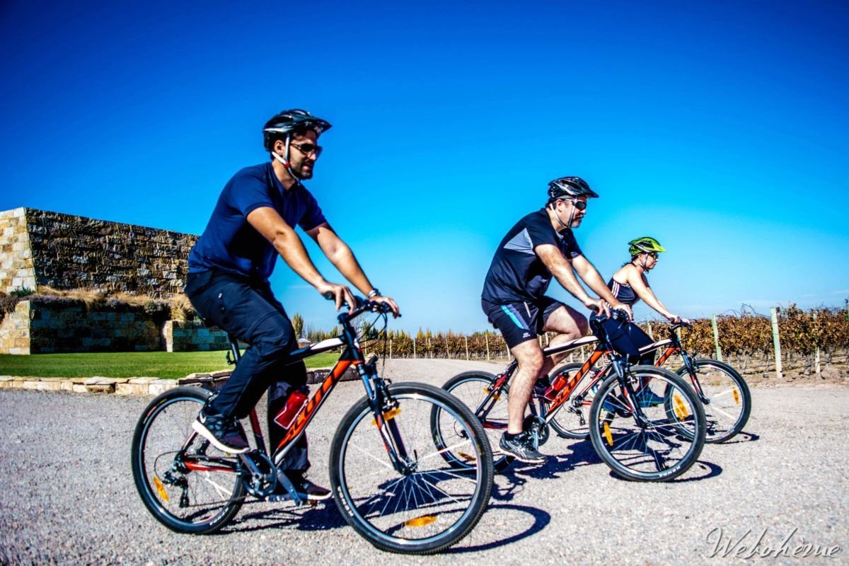 Ruta del vino en bicicleta