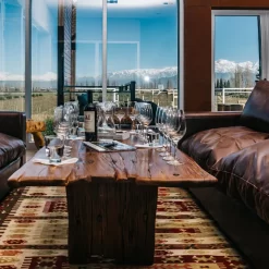 cata de vinos con vistas a los viñedos