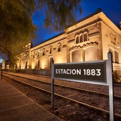 Tour en 2 bodegas y 1 fábrica de aceite de oliva en Maipú