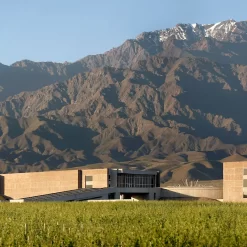 Private tour of 3 wineries in Valle de Uco South