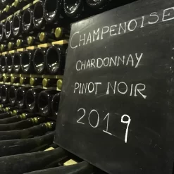 Excursión a dos Champañeras en Luján de Cuyo y Maipú con degustación premium