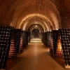 Tour in 3 sparkling wineries in Luján de Cuyo and Maipú with lunch and premium tasting