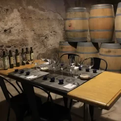 Tour in 2 olive factory and a winery in Maipú with lunch and premium tasting