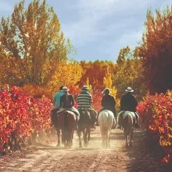 Cavalgada crioula: dia de tradição argentina