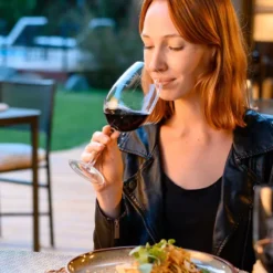 Mendoza Wine Tour