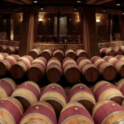 Excursión privada en 2 bodegas ícono de Maipú o Luján de Cuyo con almuerzo y degustación de alta gama