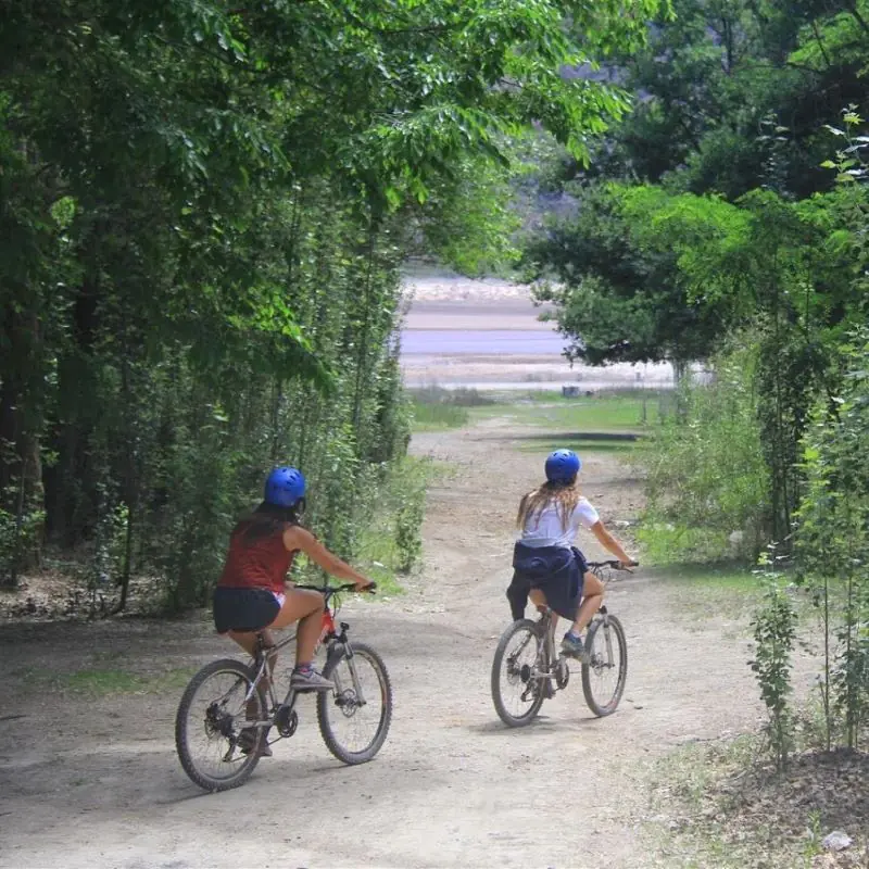 Excursión de vino en bicicleta