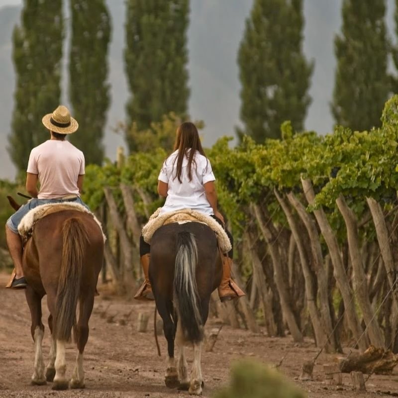 Passeios a cavalo e degustação de vinhos