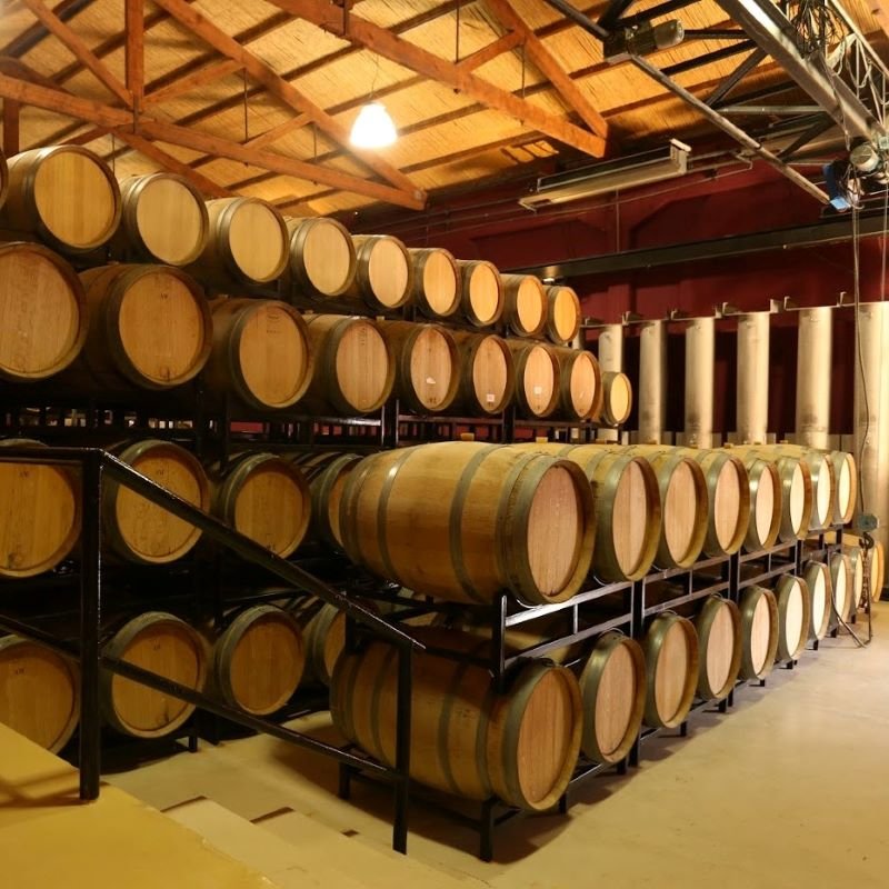 Excursión por bodegas