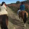Small group riding horses through vineyards during the Horseback Riding – Rancho Viejo tour.