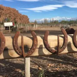 equitacion argentina