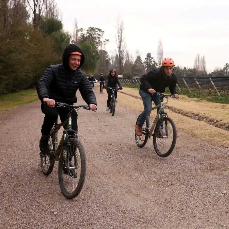 Cyclists riding along a vineyard road in Mendoza wine country.