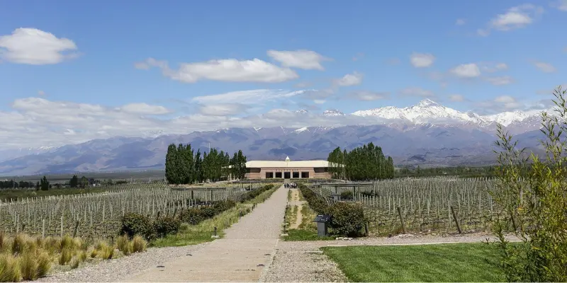 Bodega Achával Ferrer