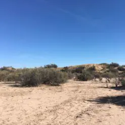 Tradiciones argentinas