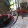 argentina wine regions