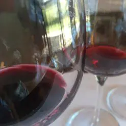 regiones vinícolas argentinas