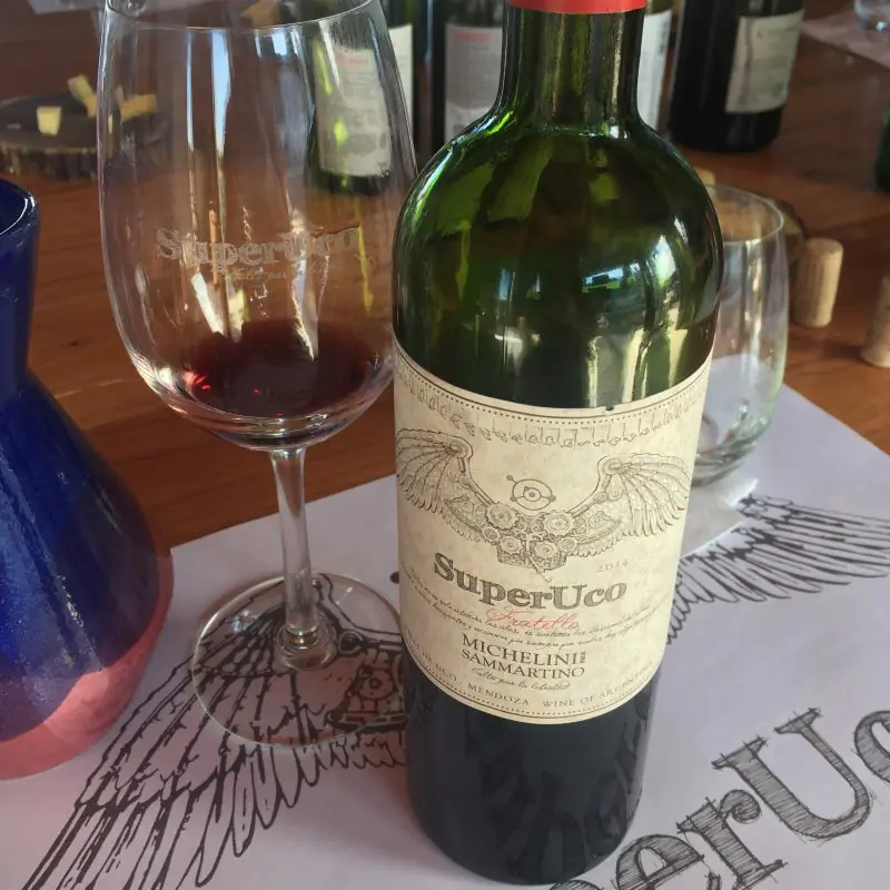Iconic Mendoza wine bottle tasted during a premium wine tour