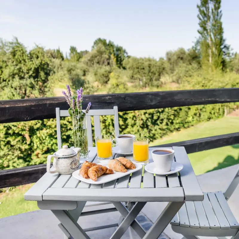 Breakfast table on terrace overlooking vineyards in Mendoza.