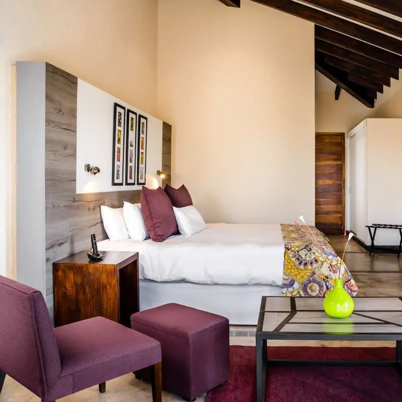 Spacious boutique hotel suite in Mendoza wine region.