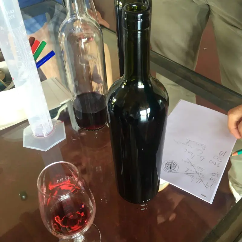 Exclusive wine tasting experience with boutique winery bottles in Mendoza