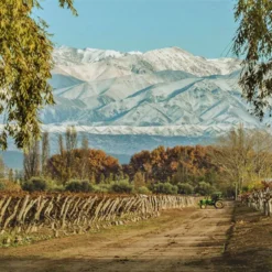 Vinícola de Mendoza