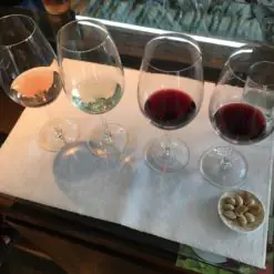 regiones vinícolas argentinas