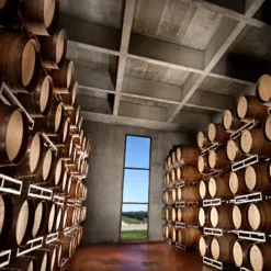Vista alternativa de 5-Day Package in Mendoza. Adventure, Wine Tasting and Art