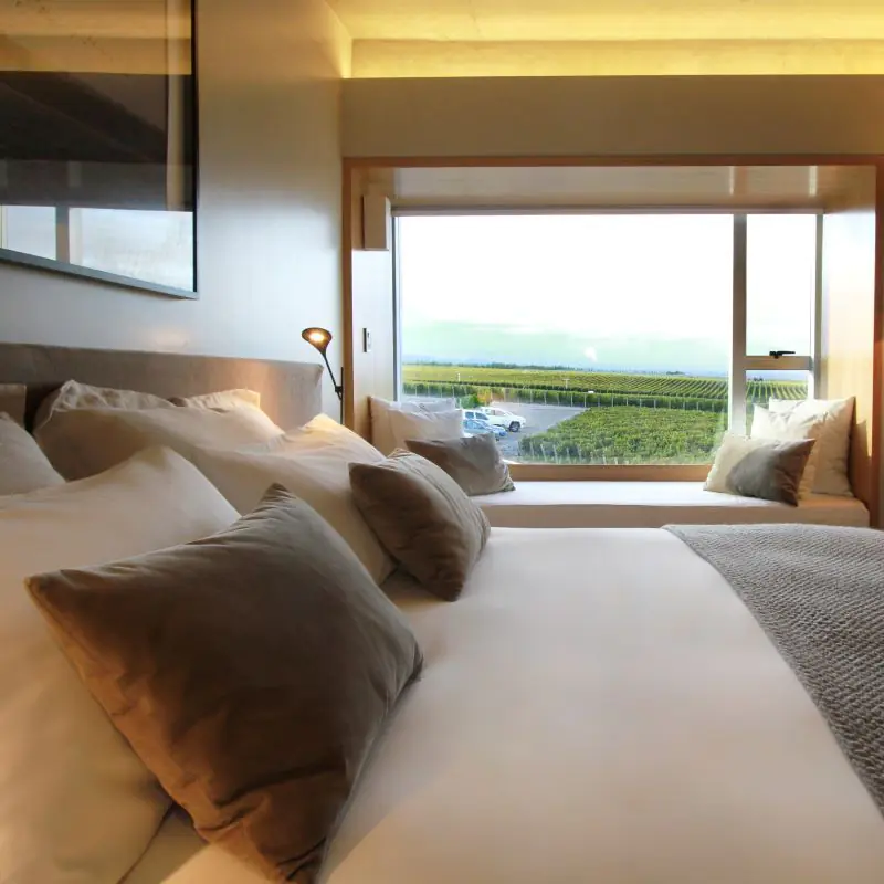 Paquete a Valle de Uco