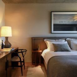 Elegant boutique hotel bedroom in Mendoza wine region.