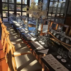 Curso de degustación de vinos en una bodega