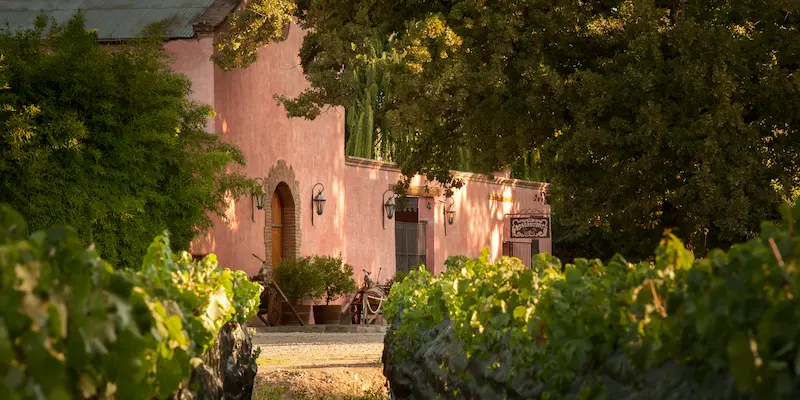 Bodega Clos de Chacras