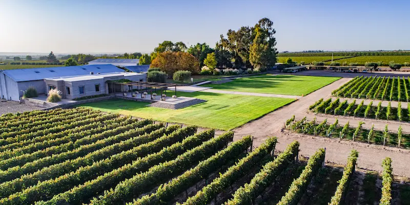 Finca Bodega Pulenta