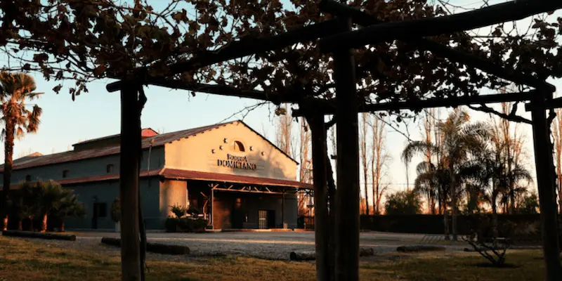 Bodega Domiciano