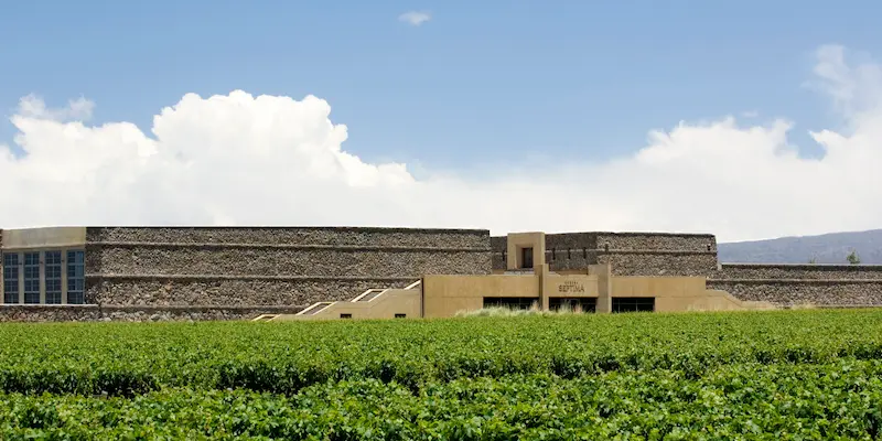 Bodega Séptima