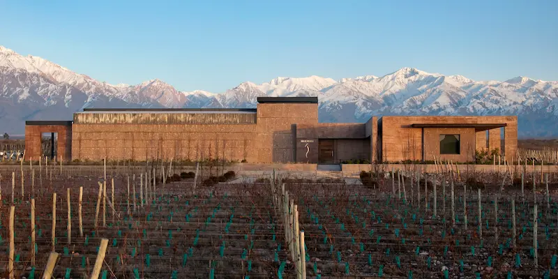 Bodega Solo Contigo