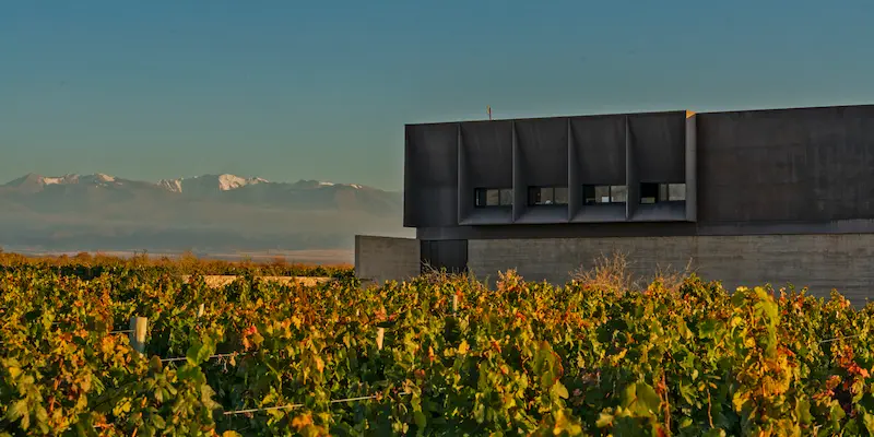 Bodega Corazón del Sol