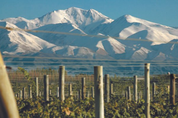 Venta Mendoza