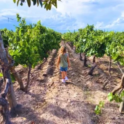 Private family tour in 3 wineries in Valle de Uco with lunch