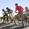 Guided bike ride – Bicycle and Wine Tour Mendoza
