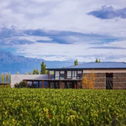 Adega cercada por vinhedos - Experiência de vinho em família em Mendoza