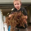 Kid holding grape must – Family Winemaking Mendoza