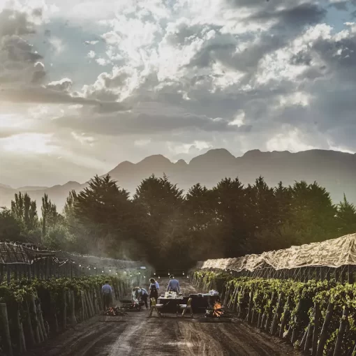 Tour en grupo reducido en 3 bodegas de Luján de Cuyo o Maipú