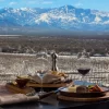 Almoço gourmet com vista para os Andes - Tour de vinhos no Vale do Uco