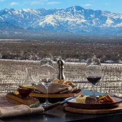 Gourmet lunch with Andes view – Uco Valley Wine Tour