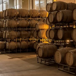 Oak barrels – Mendoza Winery Experience