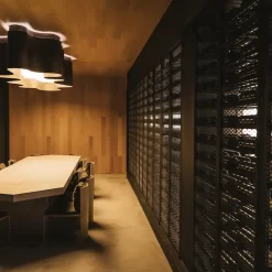 Private tour in 2 wineries in Luján de Cuyo or Maipú