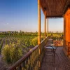 Winery terrace overlooking vineyards – Visit to 3 Wineries with Gourmet Lunch.