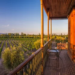 Winery terrace overlooking vineyards – Visit to 3 Wineries with Gourmet Lunch.
