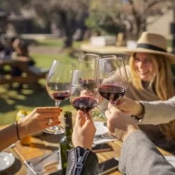 Tour privado en 3 bodegas de Luján de Cuyo o Maipú